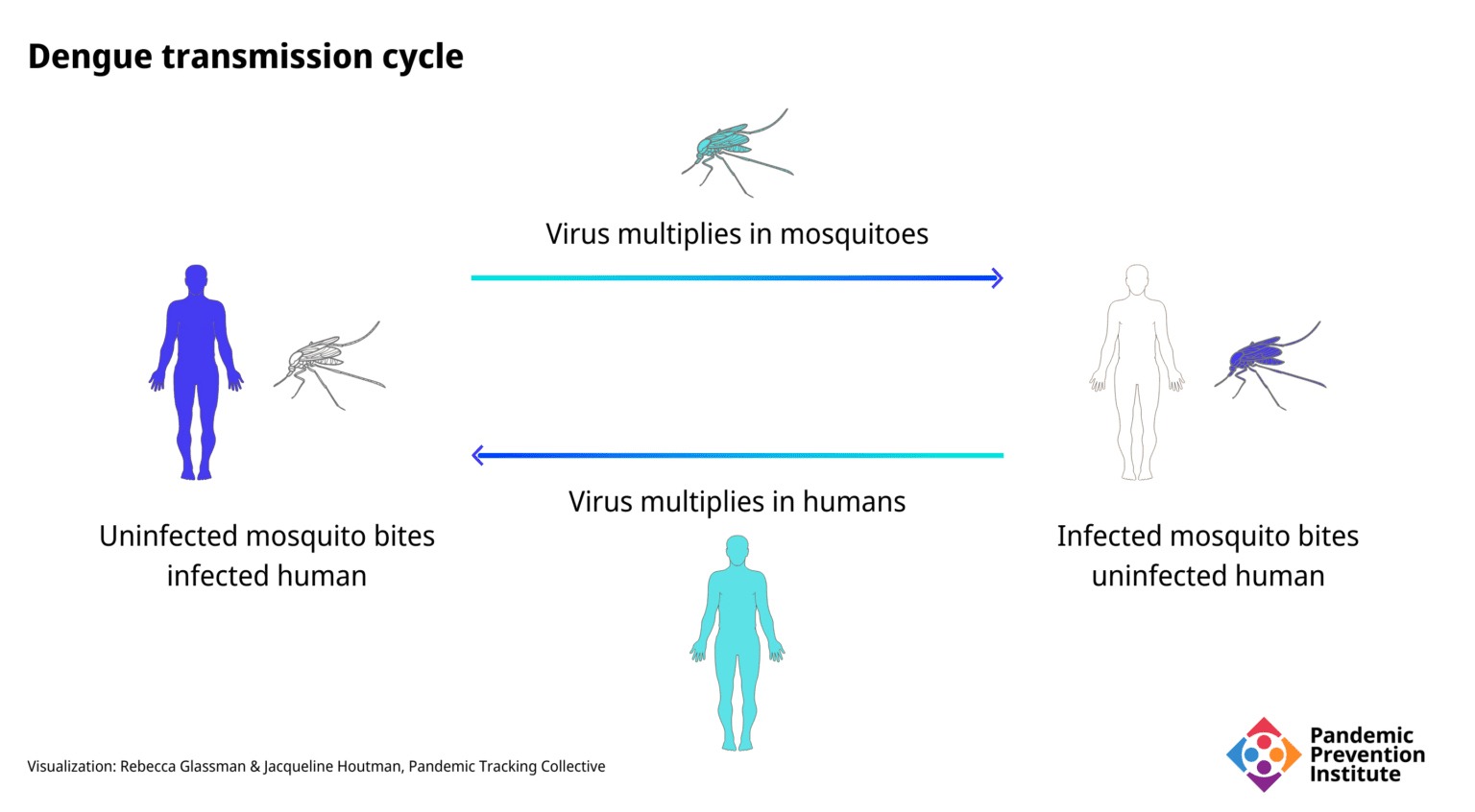 The Increasing Burden Of Dengue Fever In A Changing Climate