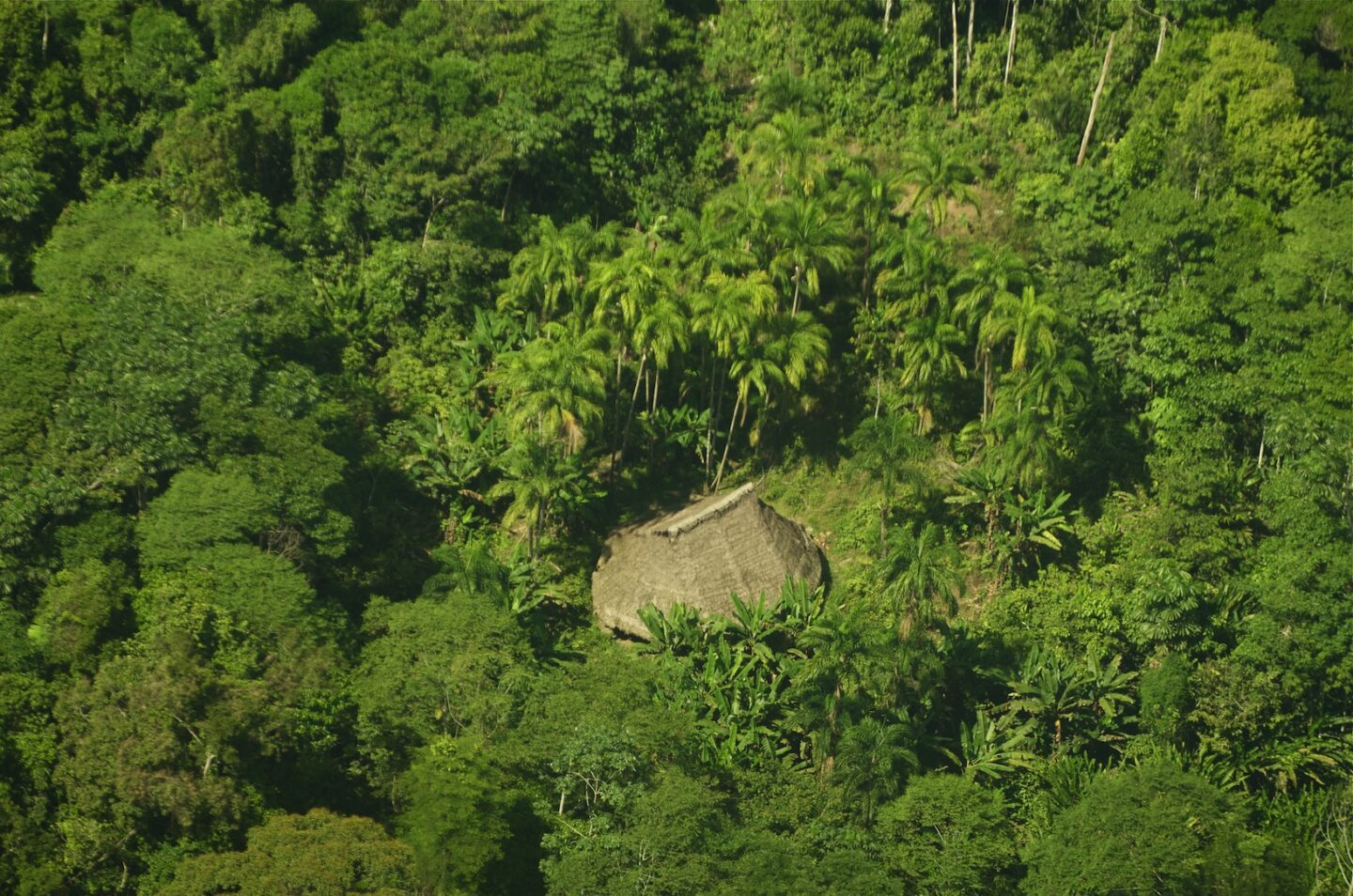 An aerial photograph of the maloca, or home, of isolated peoples in the Colombian Amazon (Photo Courtesy of ACT)