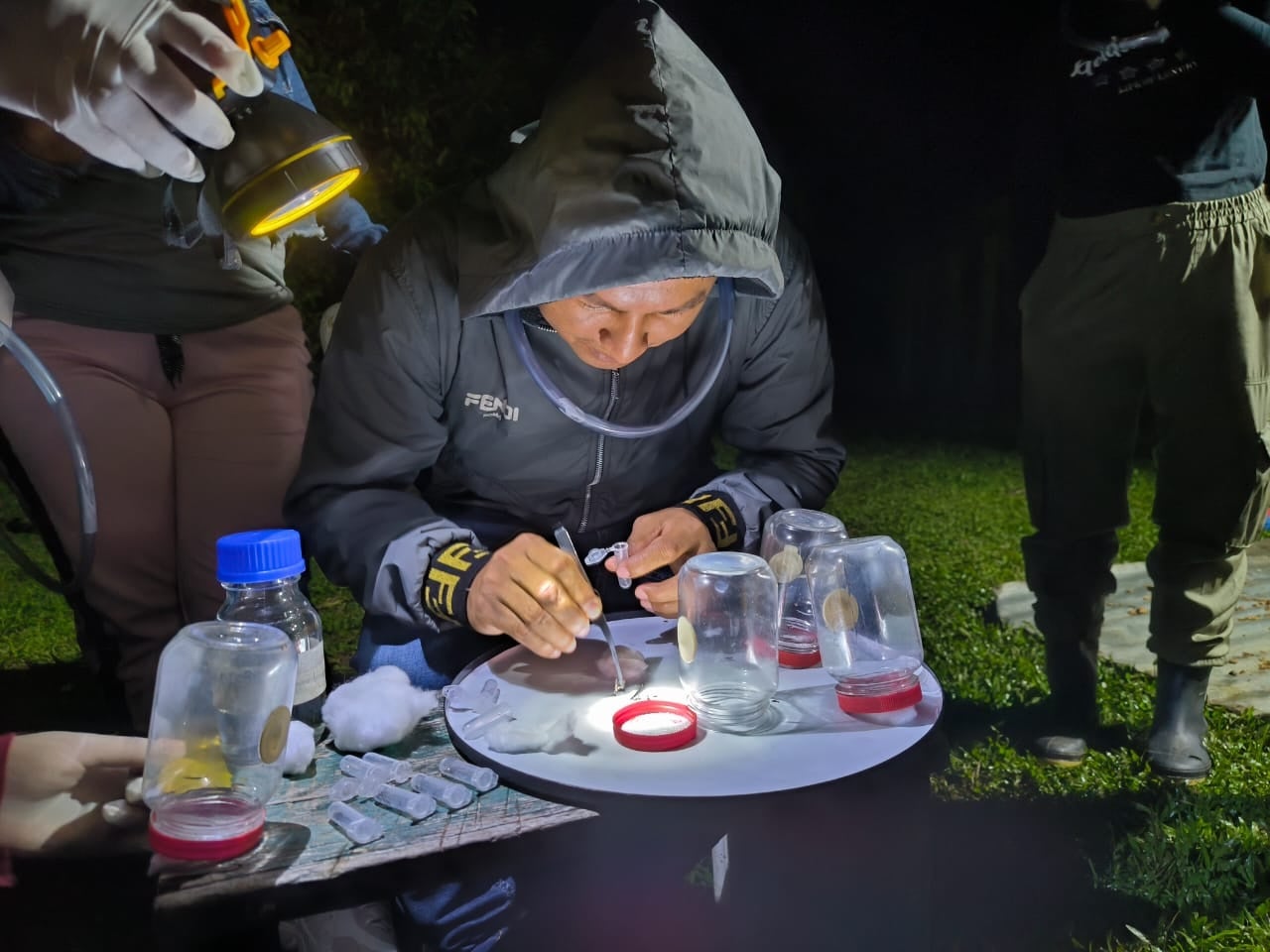 Indigenous nursing technician trainees learn new methodologies to teach their own communities to identify disease-transmitting mosquitos. (Photo Courtesy of ACT)