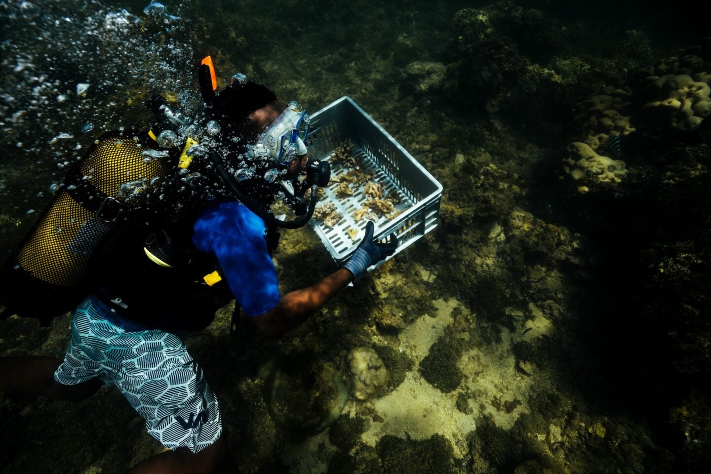 Ledama Masidza carries out coral restoration in the Indian Ocean 2022 (Photo Courtesy of Ocean Culture Life)