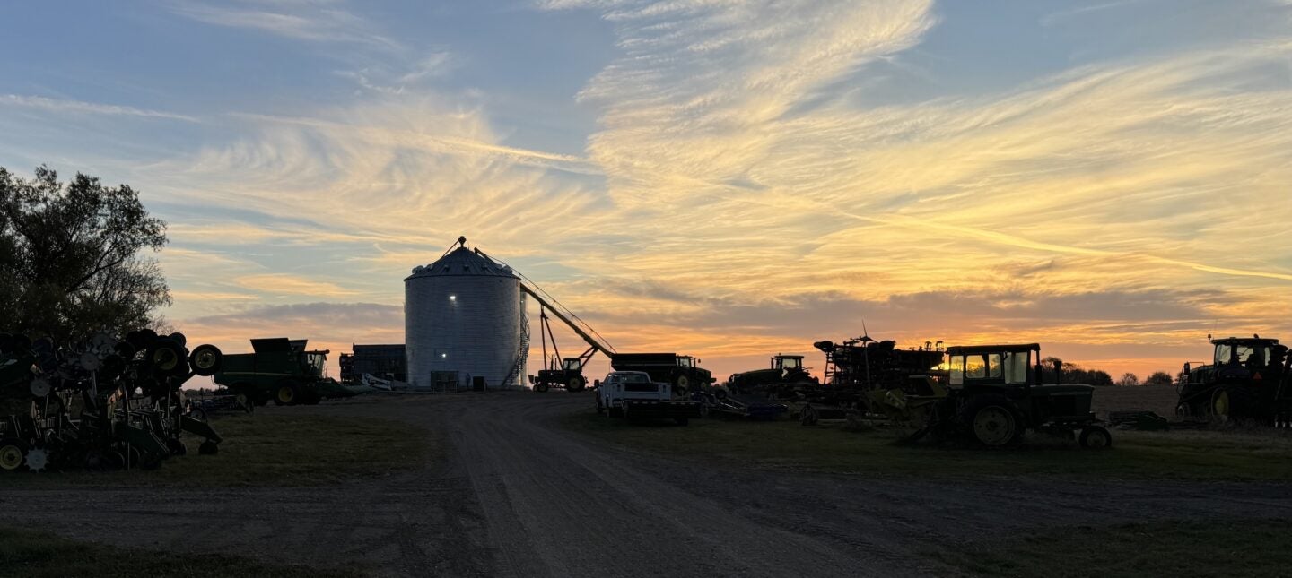 Andrew Barsness's farm in Hoffman, MN., on an October harvest morning (Photo Credit Masha Hamilton)