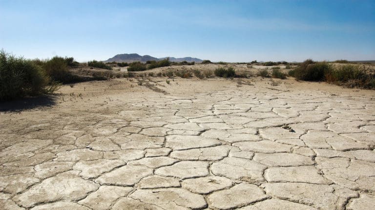 Water Shortage Is One of the Top Global Risks, How Can We Avert It?