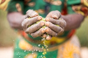 Margaret Chamwambia holds green grams at her farm in Tharaka North Sub County, Kenya.