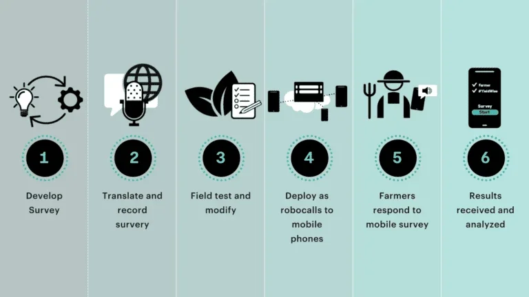 an infographic of the steps taken during this study