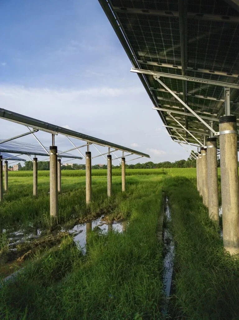 a row of solar panels on a field of wetland