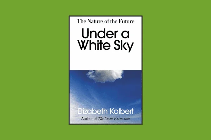 book cover of Under a White Sky.