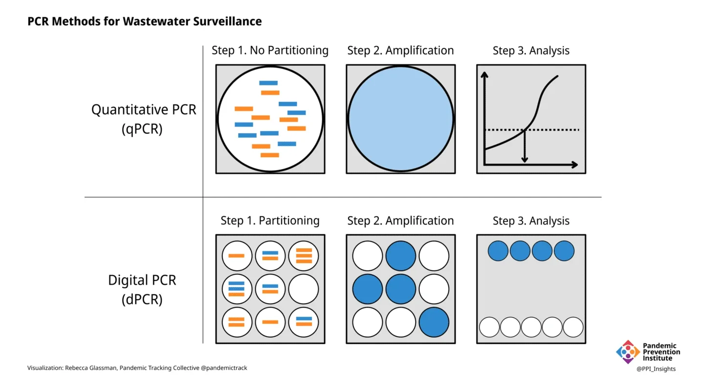 a schematic illustrating the steps in qPCR vs. dPCR as described in the caption.