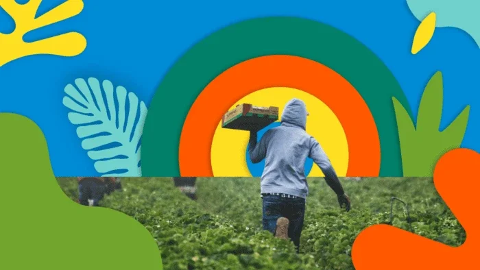 person carrying a box of crops on a farm.