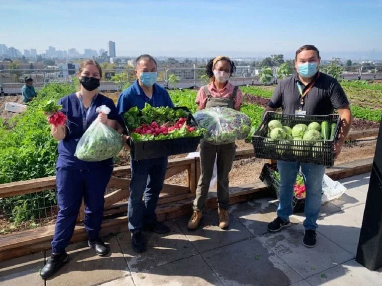 Members of the UCSF Benioff Children’s Hospital Oakland pediatrics clinic team pick up fresh produce from Rooftop Medicine Farm (Photo Courtesy of Deep Medicine Circle)