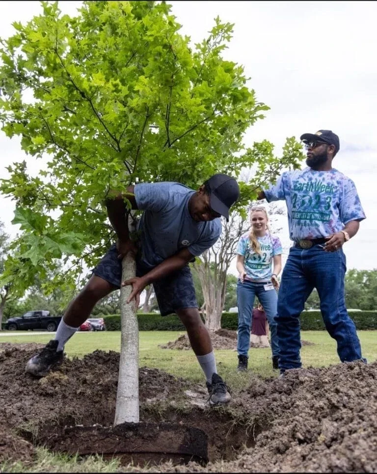 two men and a women planting a tree in the ground