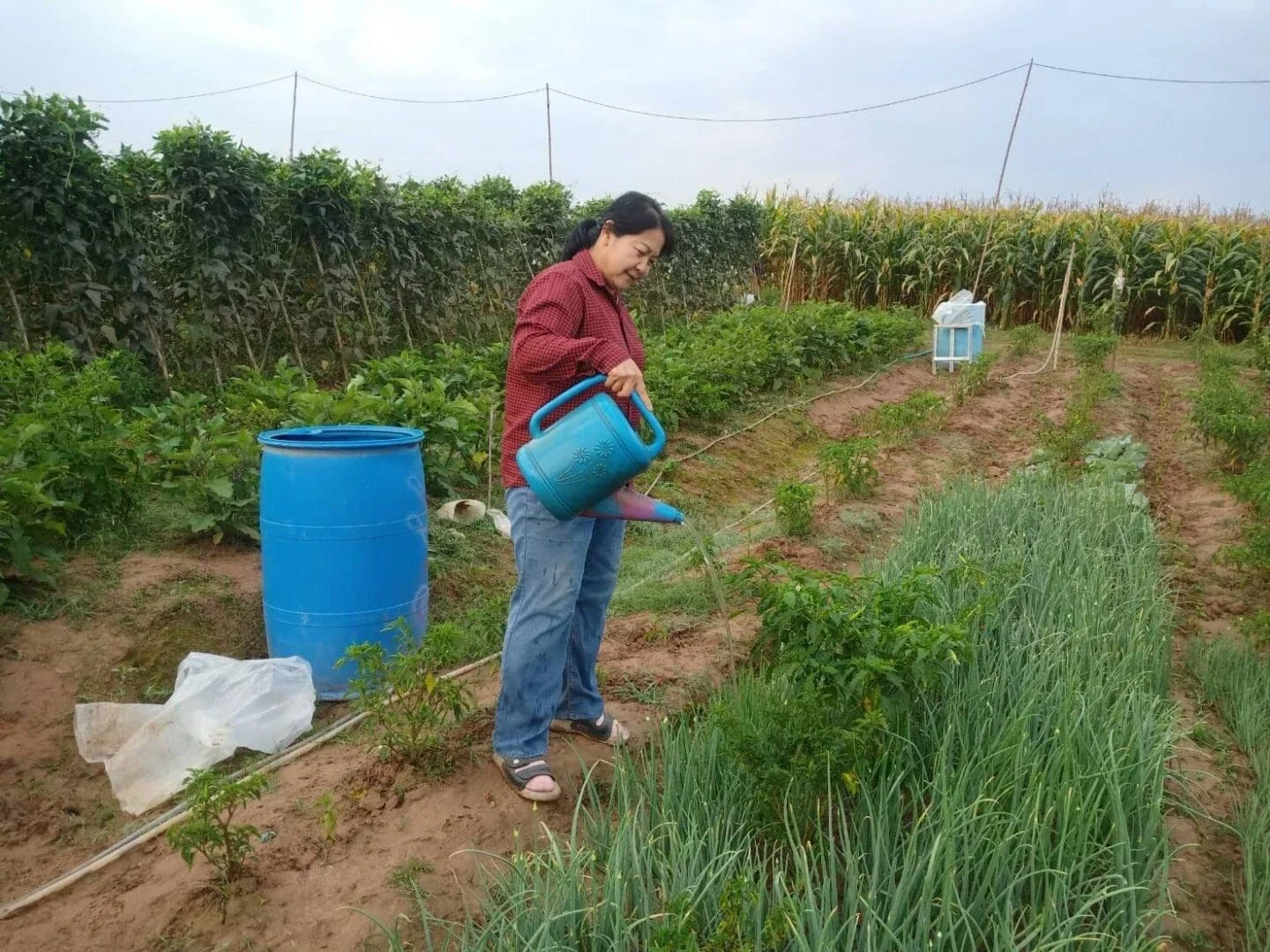 Thai farmer Narissara Phunsiriwilai (Photo Credit Narissara Phunsiriwilai )