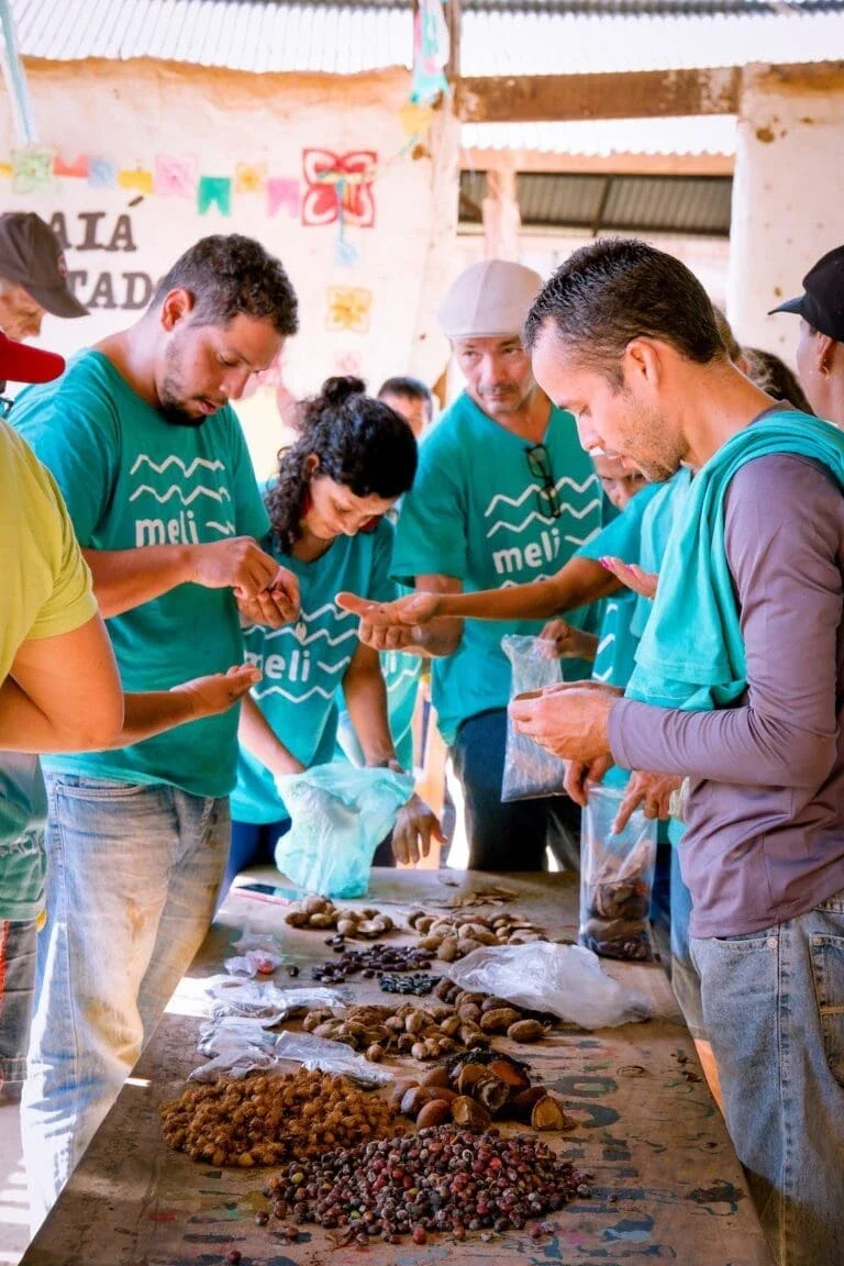 Amazon Indigenous Examining Local Foods