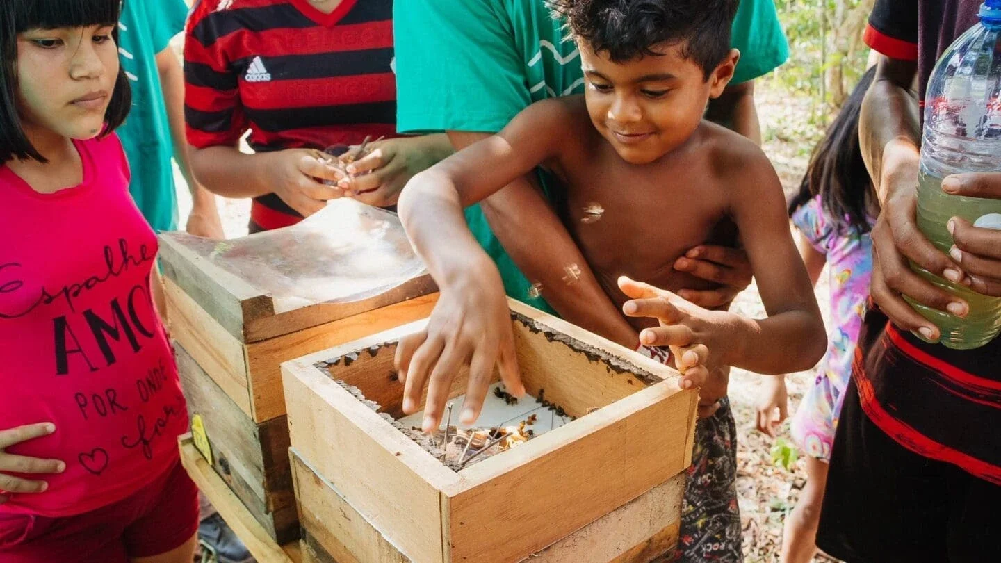 Children interacting with stingless bees during the Native Beekeeping Workshop at Gaviões' Tokurykti Jokri indigenous village, Mãe Maria territory, project in partnership with Amazonian Conservation Team Brazil. (Photo credit Rayda Lima)