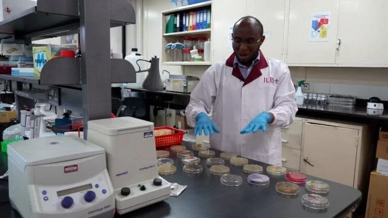 During a visit to the International Livestock Research Institute (Photo Credit Evan Stulberger)