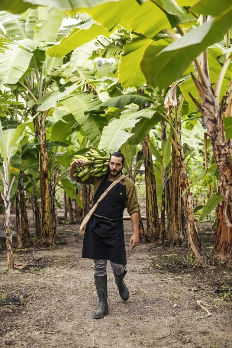 Ecuadorian Chef Rodrigo Pacheco collecting ingredients from the forest around his open-air restaurant (Photo Courtesy of Rodrigo Pacheco)