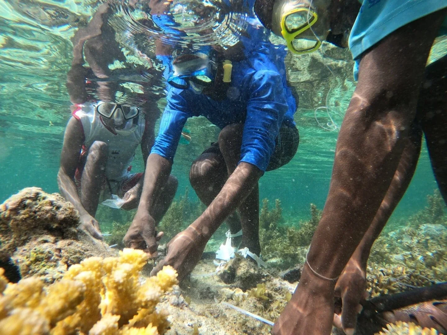 Ledama Masidza and his team plant coral in the ocean off Kuruwitu, Kenya, 2023 (Photo Courtesy of Ledama Masidza)