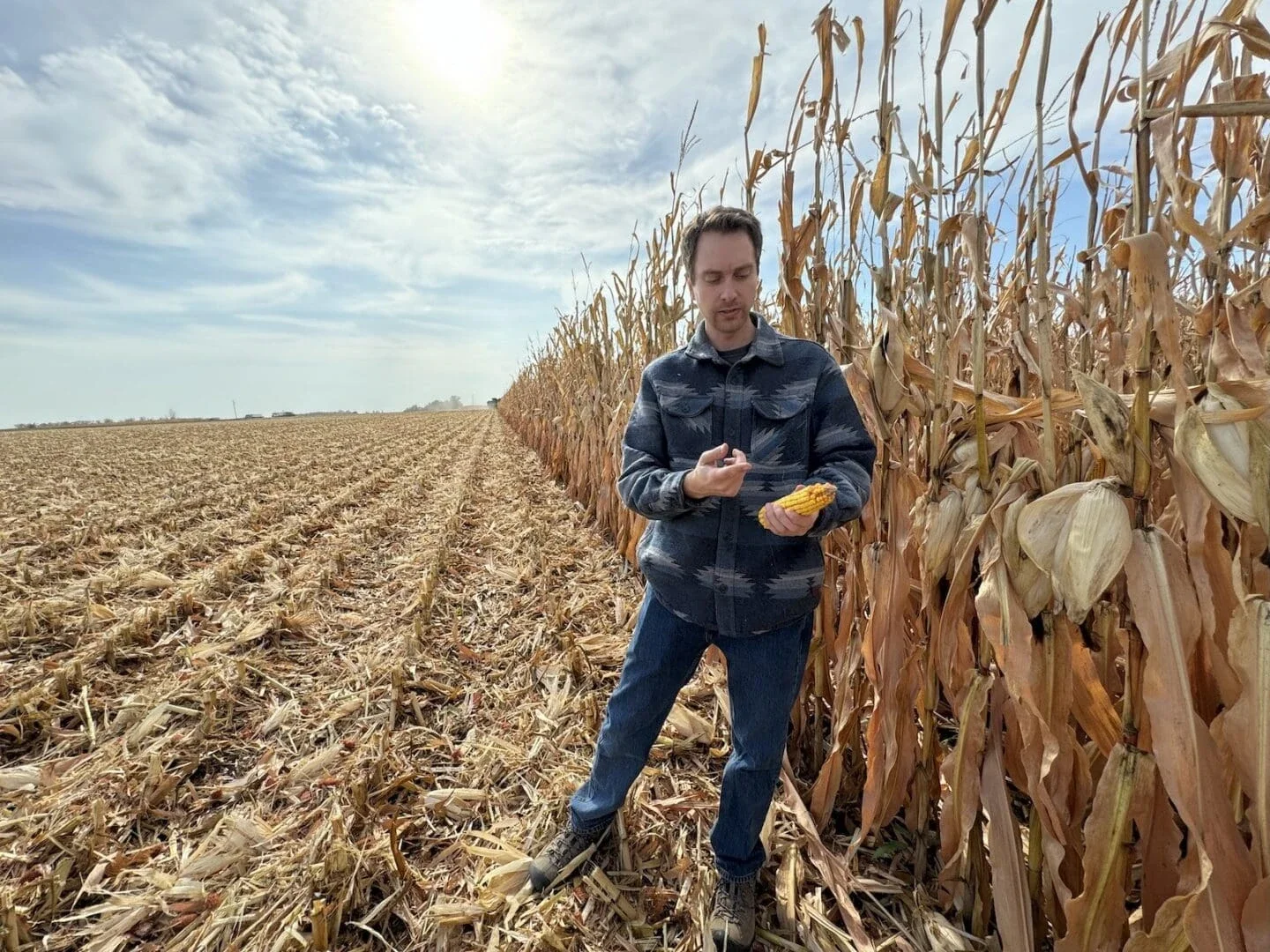 A farmer in Minnesota, supported by grantee Mad Capital, examines his crop of regeneratively farmed corn (Photo Credit Masha Hamilton)